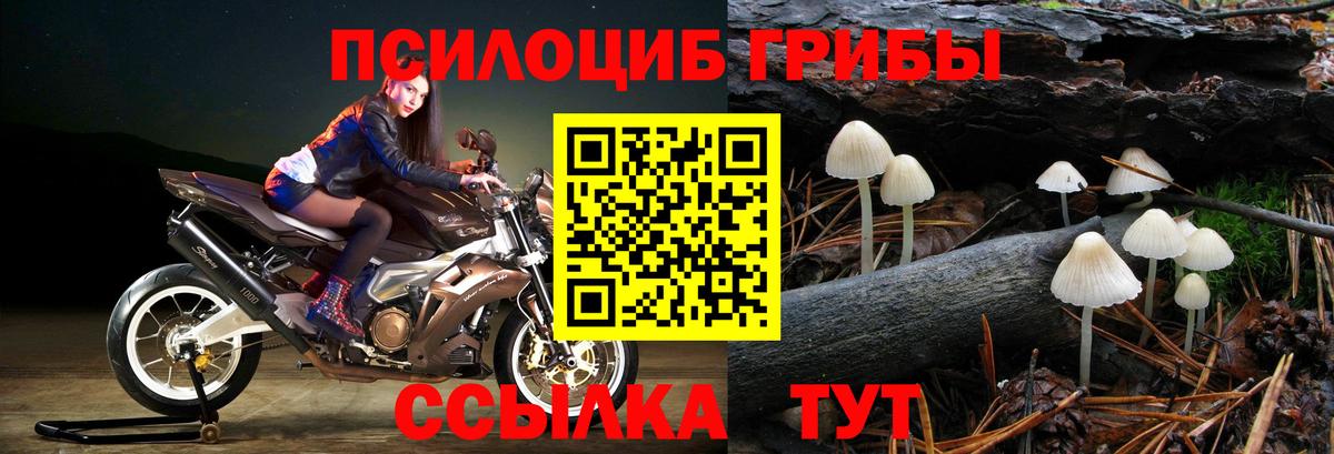 Галлюциногенные грибы Magic Shrooms Выкса